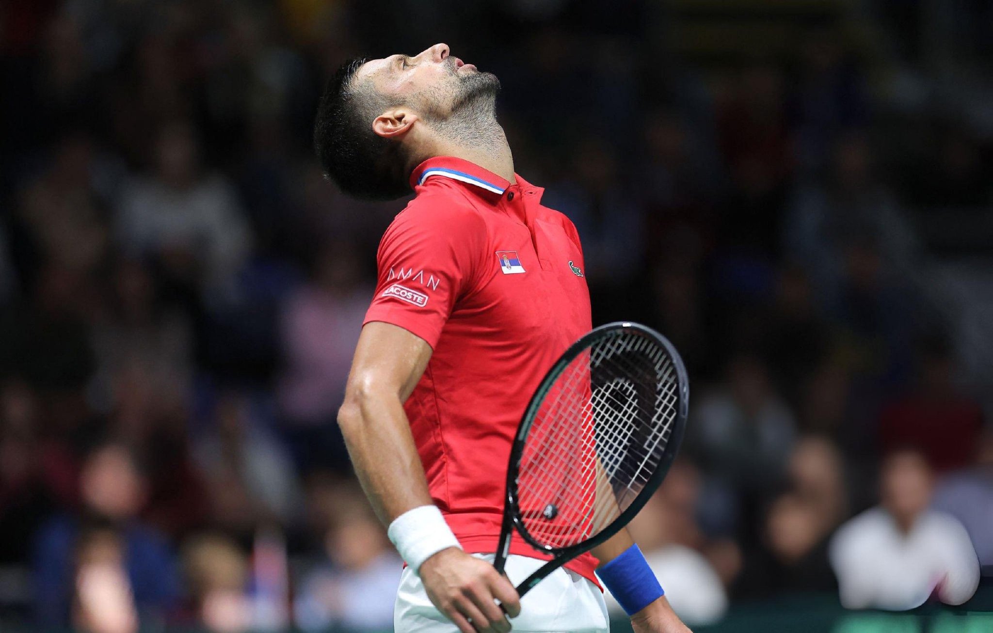 戴维斯杯险胜法网，德约科维奇高光表现